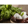 MOZZ. CILIEGINE CONFEZ. DA 1 KG